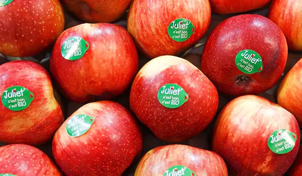 Fruit Label.webp